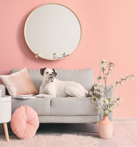 Pink Perfection