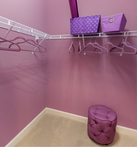 Purple Palette