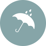 weather
