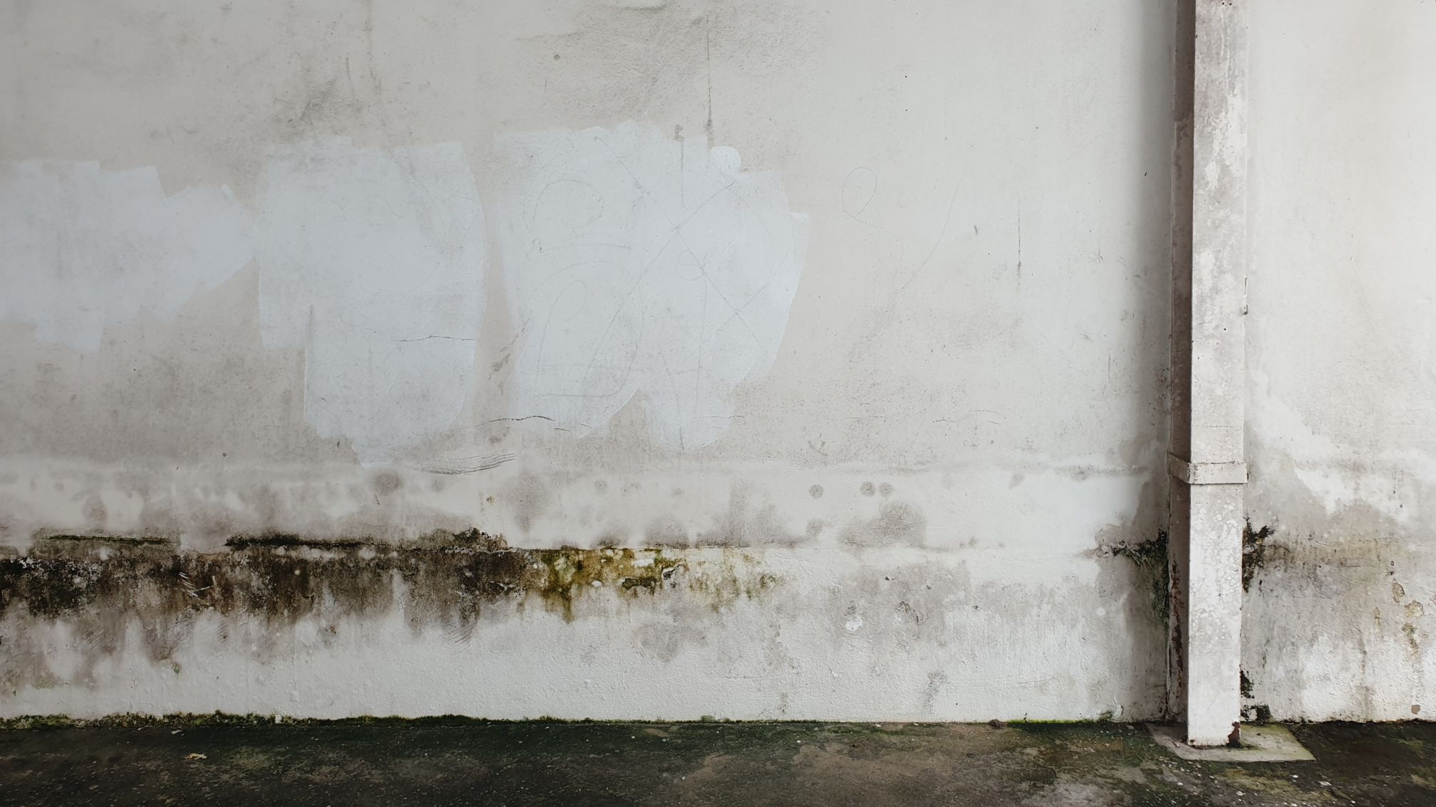 Wall-Seepage-During-The-Monsoon