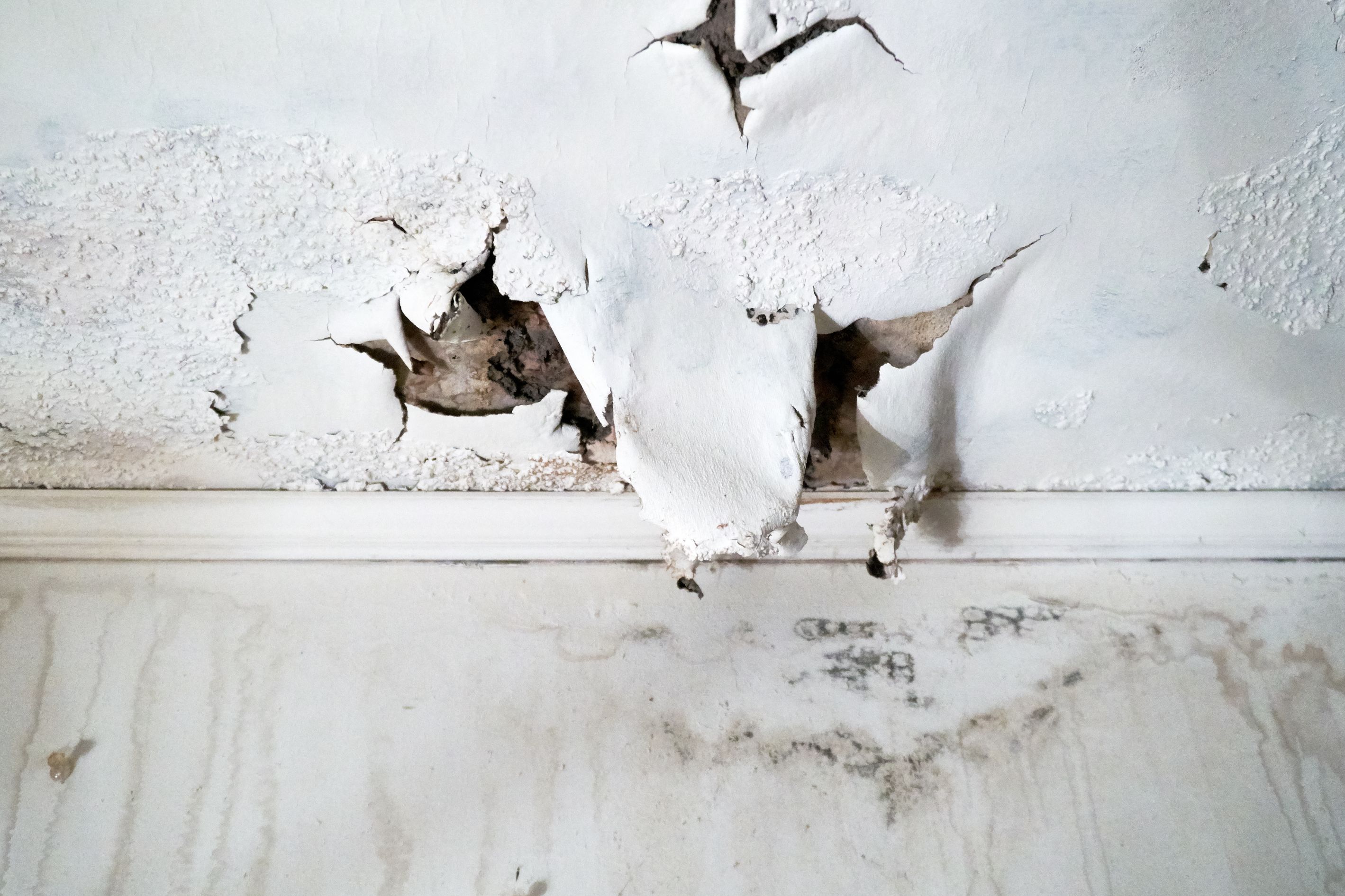 Understanding-the-Significance-of Handling-Flood-Damaged-Walls