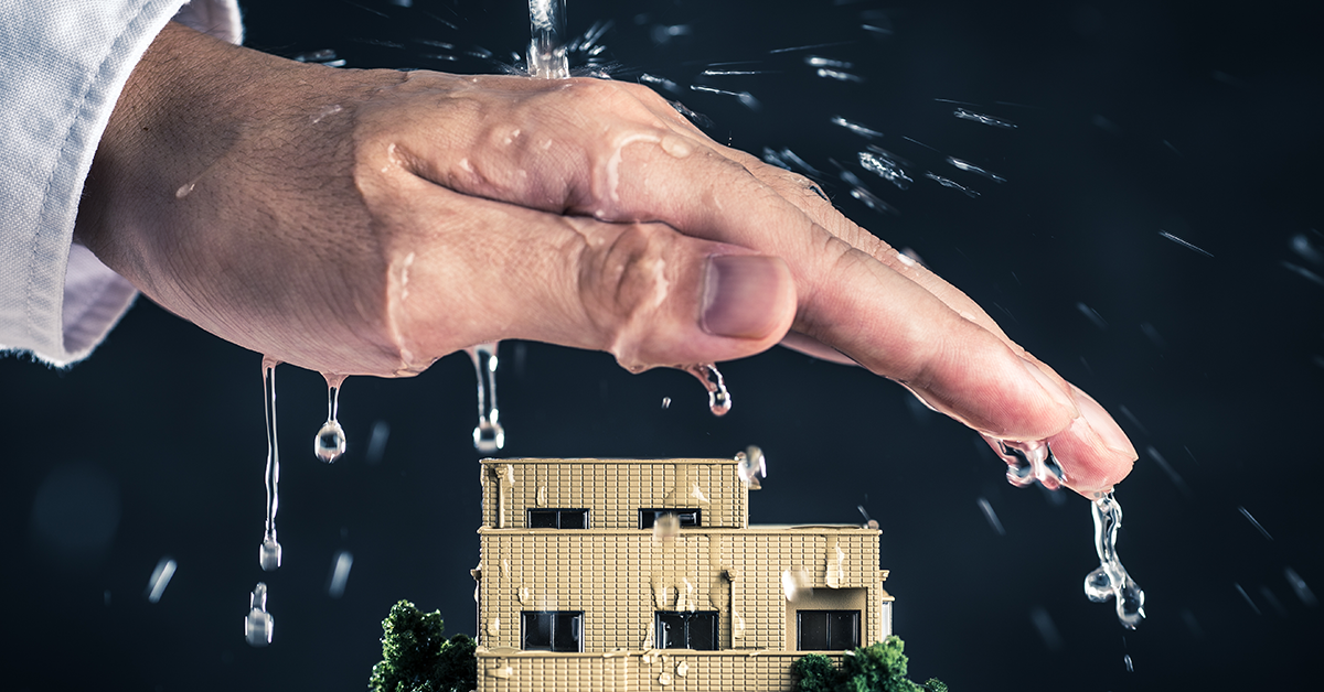 How to Get Rid of Dampness in Walls – A Guide