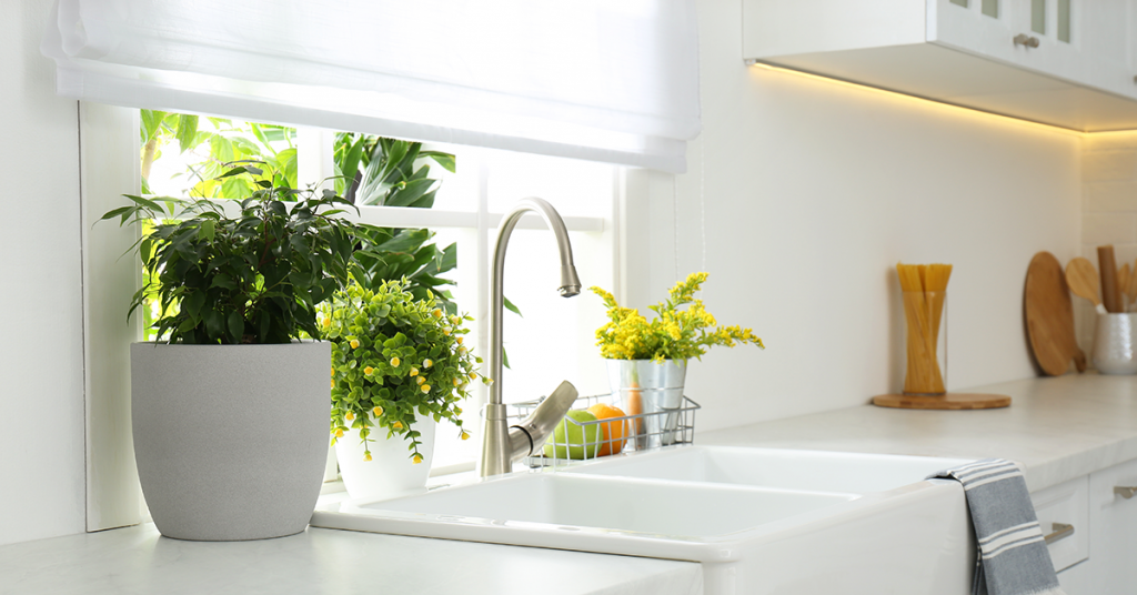 Ways-To-Maintain-a-Healthy-And-Germ-free-Home