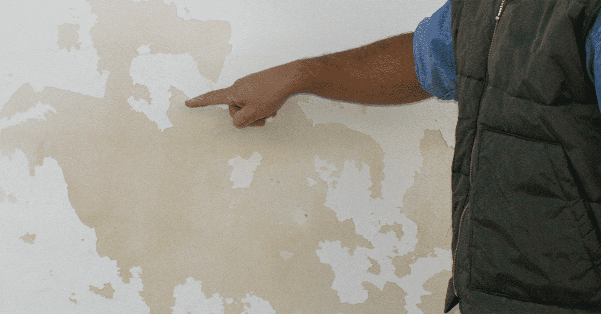 rising-dampness-on-the-walls-banner