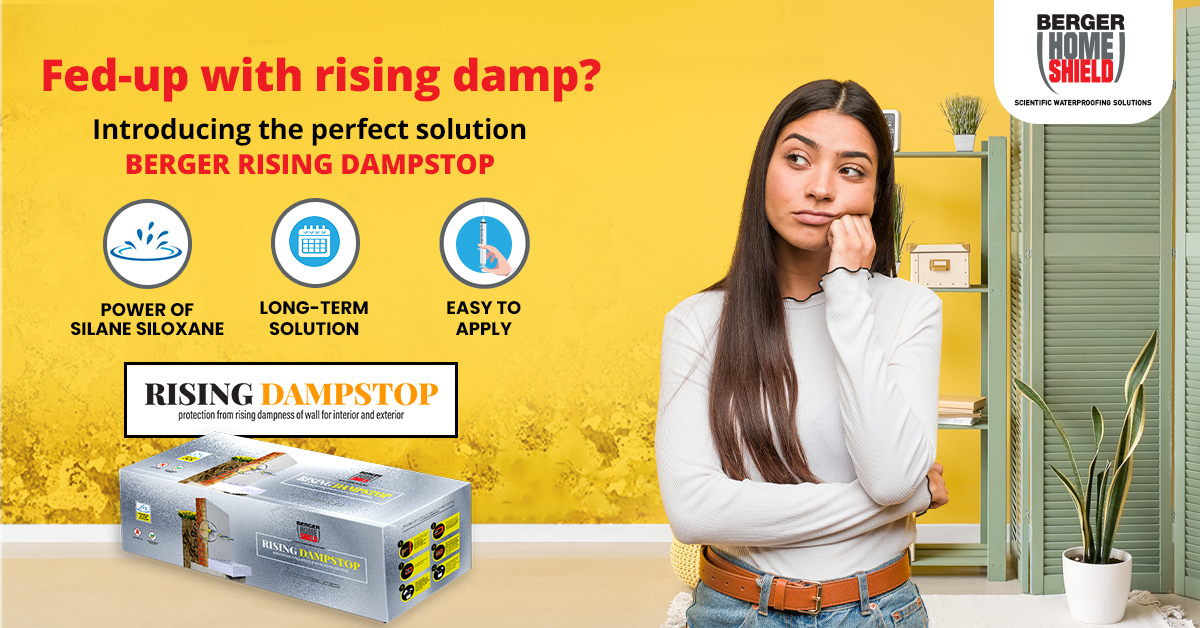 rising-dampness-banner