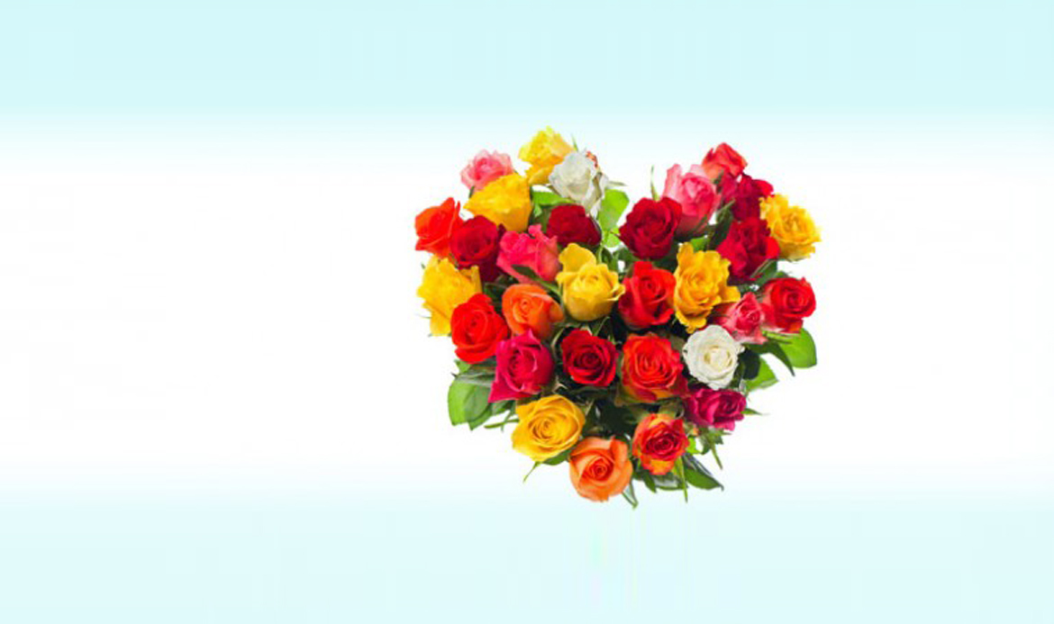 Blog-Banner-Home-1