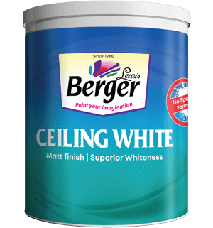 ceiling-white-can