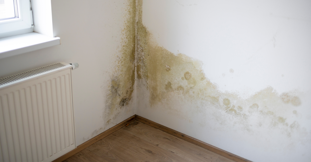 rising-dampness-near-the-window