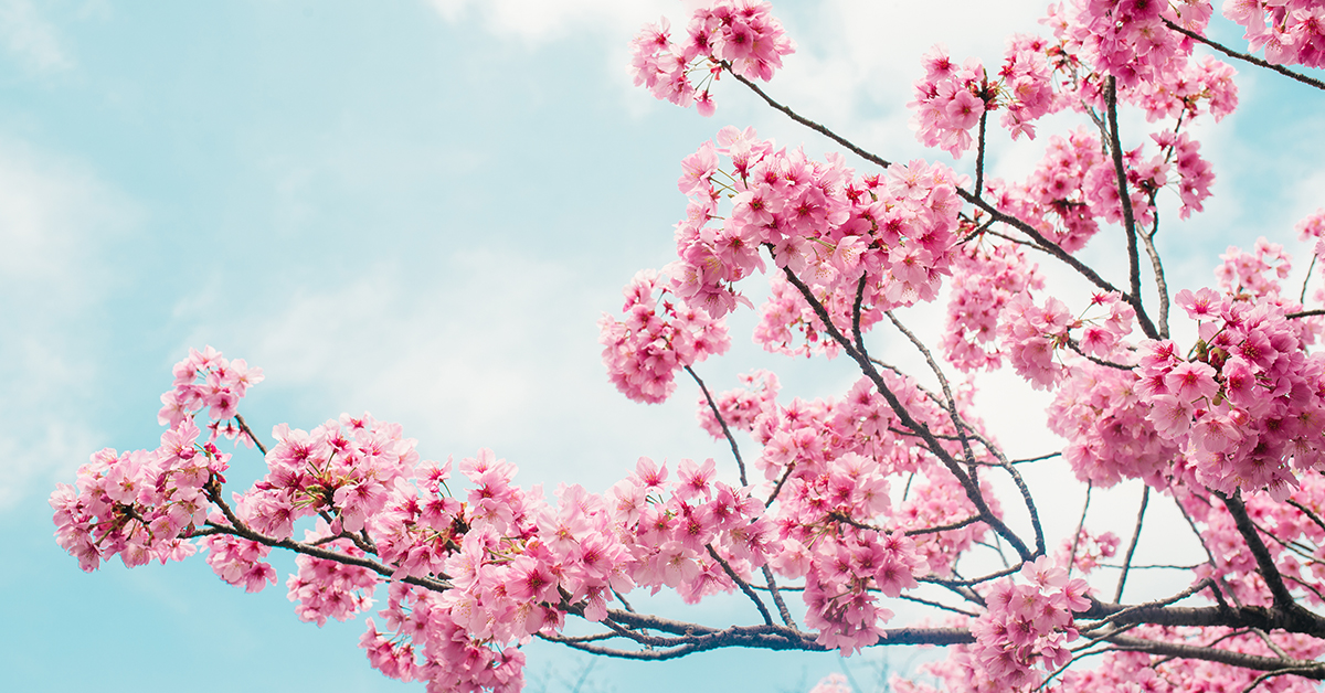 Colour of the Month – February