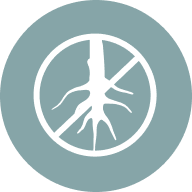 Resistant to Root Growth