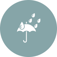 Silicon Protects Against Heavy Rainfall
