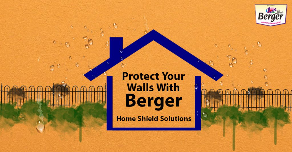 protect-your-home-walls