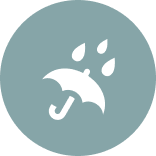 weather