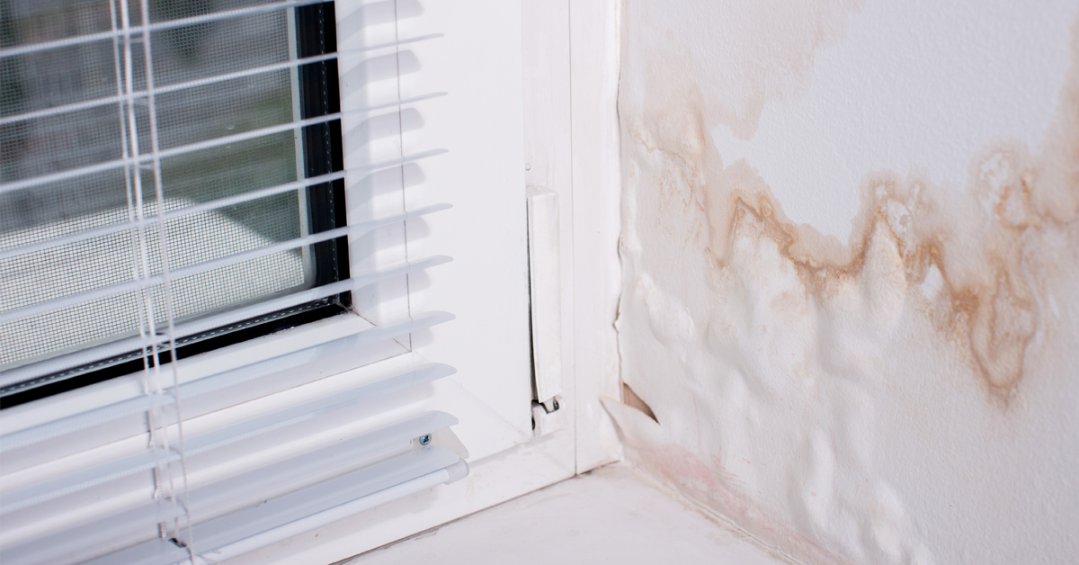 damp-walls