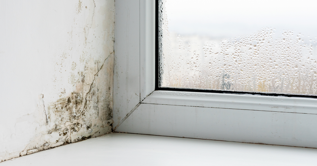 waterproofing-issues-on-the-walls-1024x536