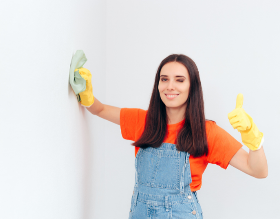 Lady Scrubbing the wall