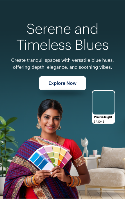 Blue Colour Catalogue