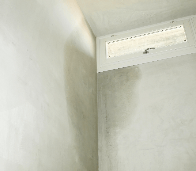 damp wall
