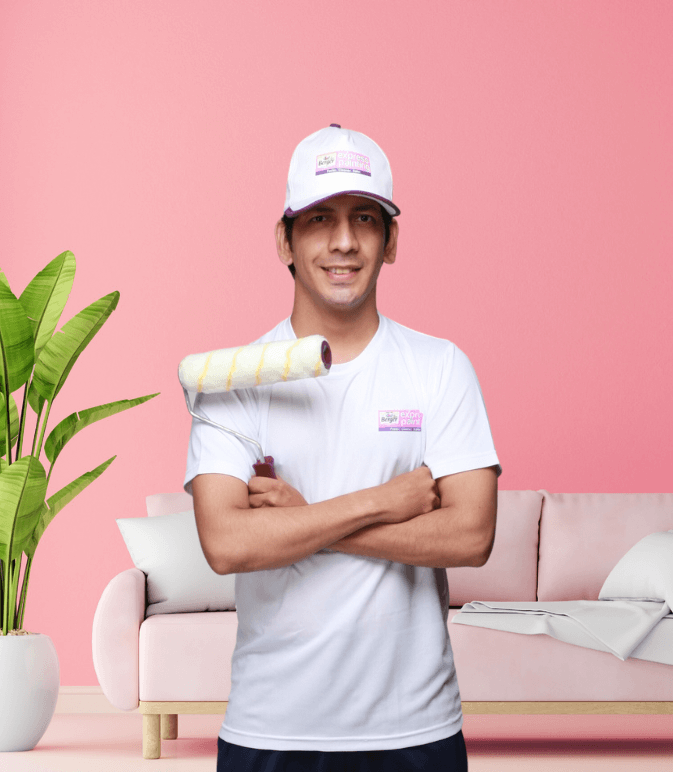 Interior Wall Coatings