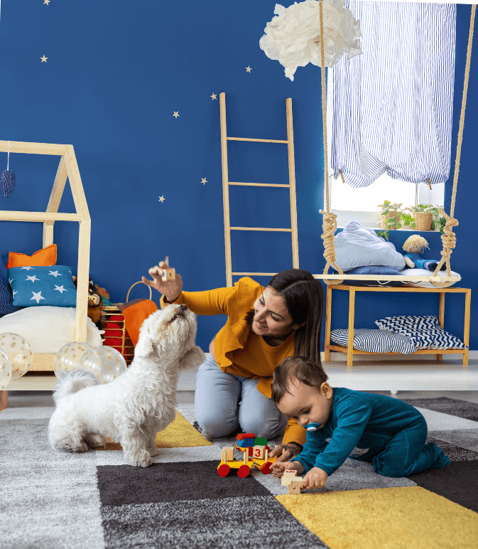Interior Wall Coatings