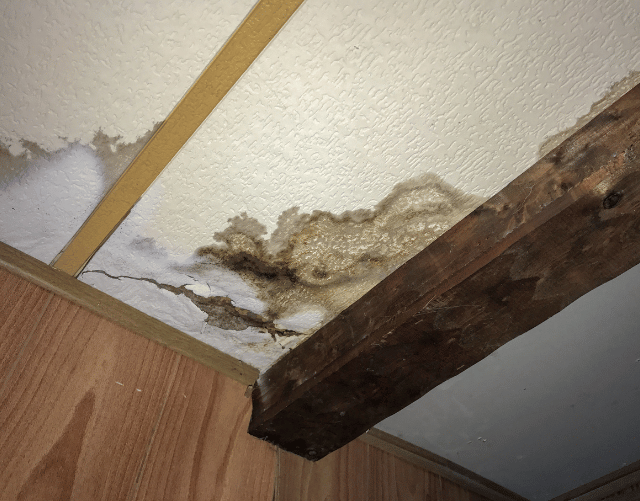 wood-faq-2