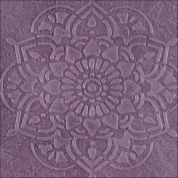 Mandela orchid bloom