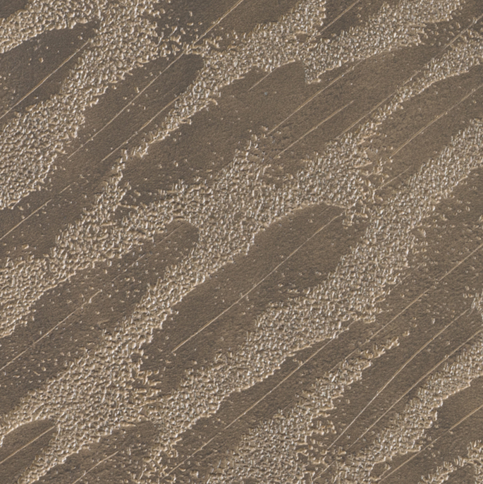 Terra mushroom brown