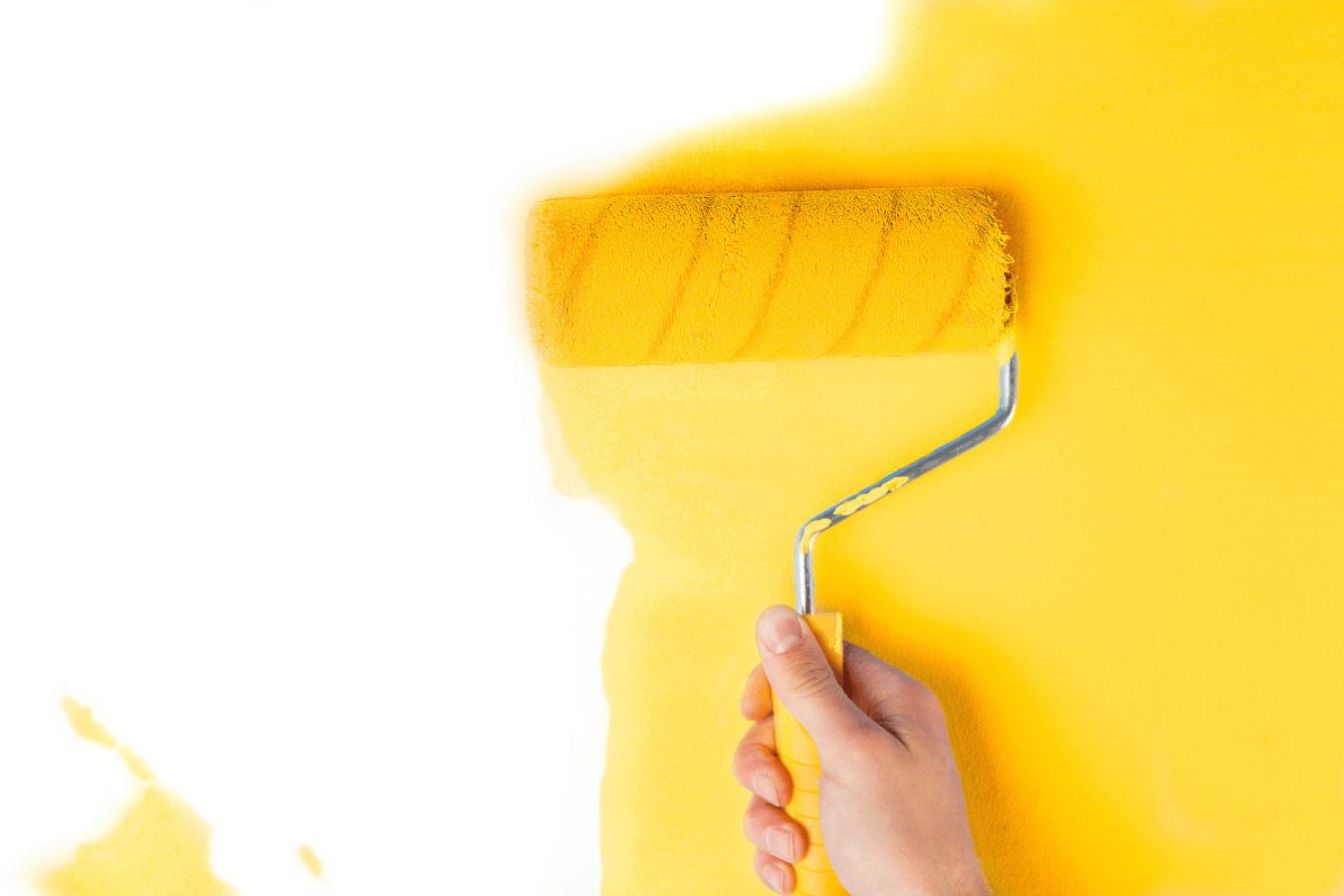 paint roller