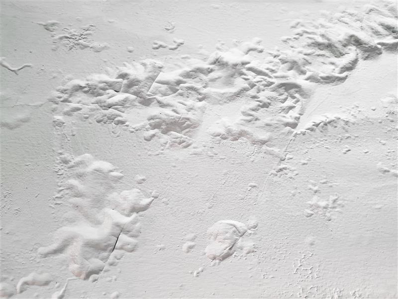 Image removed.