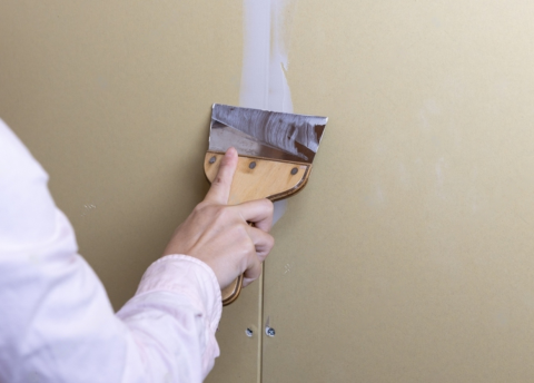 Home Shield Crack Fill Paste