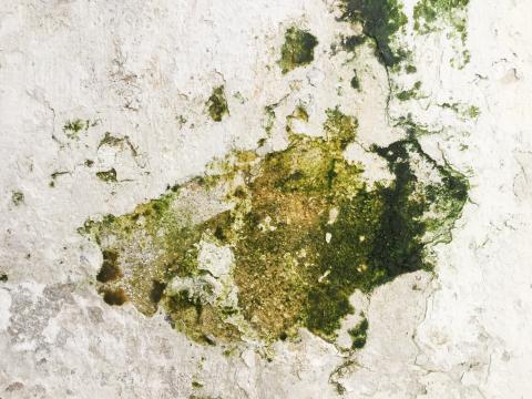 microbial_growth_problems_3