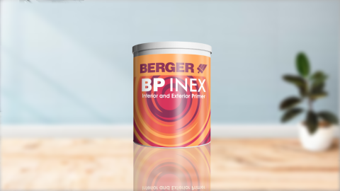 bp_inex-primer