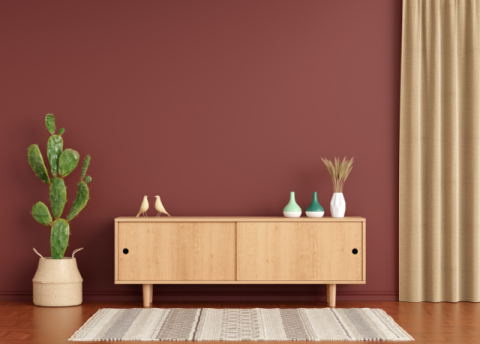 bison-distemper-paint-3